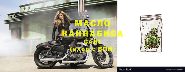 амф Гусиноозёрск