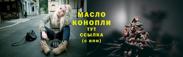 скорость Гусев