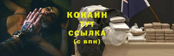 скорость Гусев