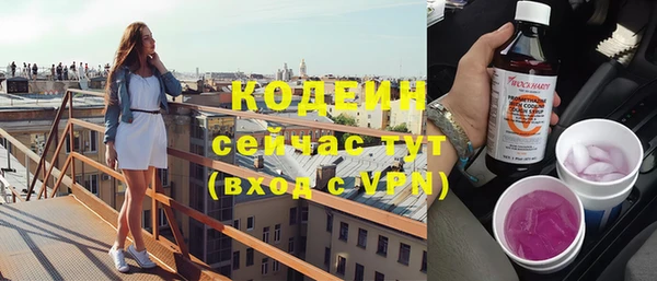 скорость Гусев