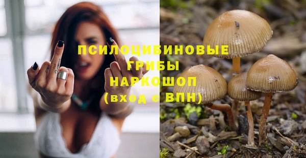 амф Гусиноозёрск