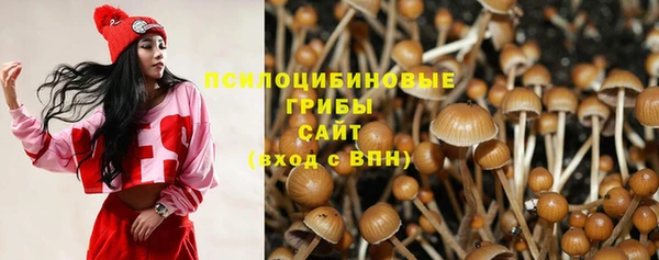 амф Гусиноозёрск